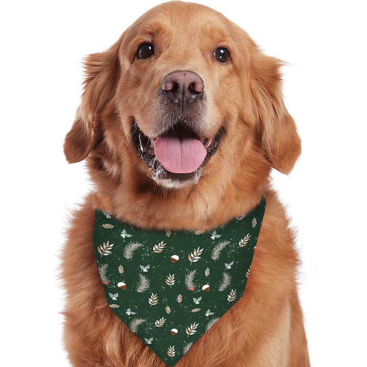 Zielona choinka Fmalily pasująca piżama (z ubrankami dla psa)