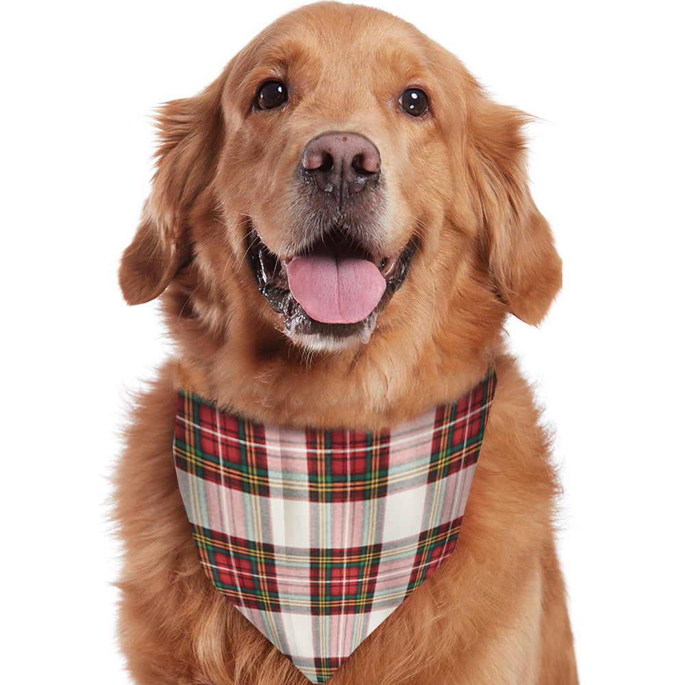 Σετ πιτζάμες με καρό μικτό χρώμα ασορτί Fmalily (με ρούχα για σκύλους για κατοικίδια)