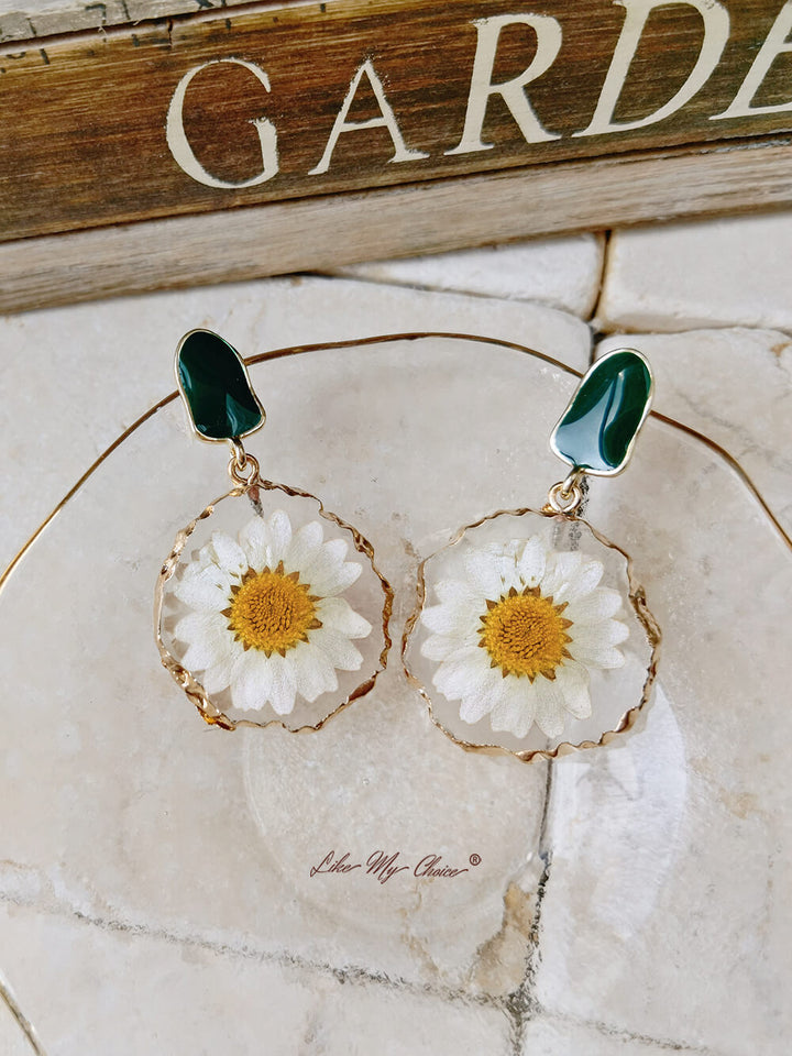Gold edged daisy earrings